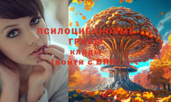 дживик Верхнеуральск
