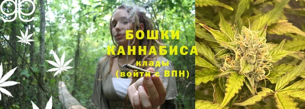 хмурый Верхний Тагил