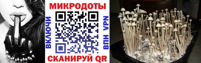 Псилоцибиновые грибы Magic Shrooms  Медногорск 